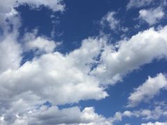 -汤旺河林海奇石景区
