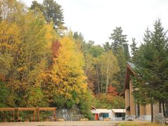 -五营红松林海景区