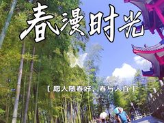 -蔡伦竹海
