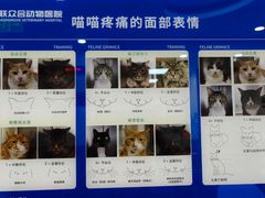-美联众合动物医院·24h转诊中心