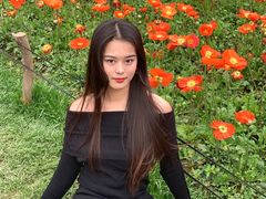 -秀丽东方