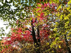 -丹东天桥沟景区