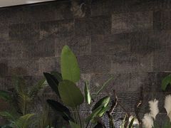 -东方大班·足道·采耳·疗愈SPA(丽都店)