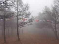 -阳台山自然风景区