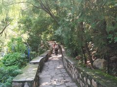 -碓臼峪自然风景区