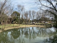 -西溪国家湿地公园