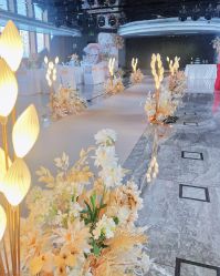 -Doris一站式游轮婚礼船东直营店(外滩店)