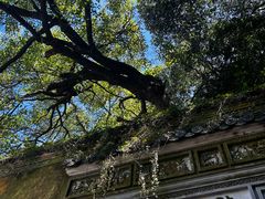 -普陀山慧济禅寺