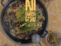 -石灰市毛记烧鸡公(解放碑店)