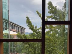 -逸廊大堂吧-下午茶·简餐-千岛湖自由洲际殿
