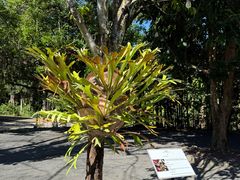 -热带雨林自然公园