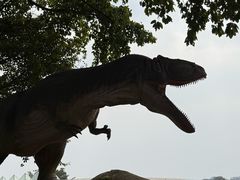 -自贡恐龙博物馆