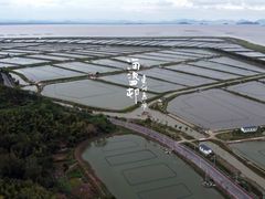 -蛇蟠岛