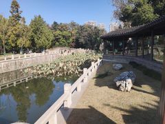 -水绘园