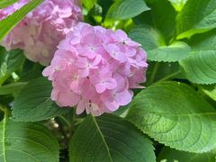 -大妙火锅·非物质文化遗产(东湖公园店)