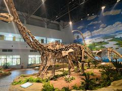 -自贡恐龙博物馆