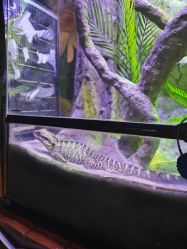 -酷嗒动物文化乐园(cutezoo西溪乐天城店)