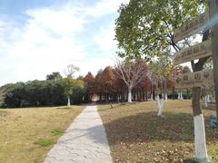 -上海都市菜园