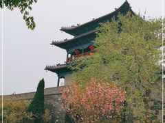 -蓬莱阁景区