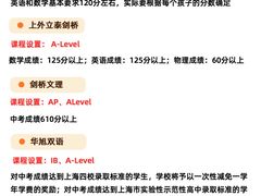 -菠萝国际教育专注Alevel·IGCSE·IB·AP·托福雅思培训辅导(静安校区)