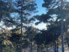 -北京西山国家森林公园