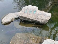 -趵突泉景区