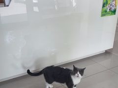 -瑞鹏宠物医院·爱宠堂(环西分院)