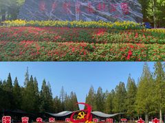 -东平国家森林公园