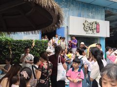 -芜湖新华联大白鲸海洋公园