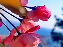 -马栏河运动公园