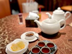 -金燕岛潮州酒楼