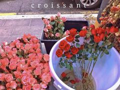 -溪岸路花鸟市场
