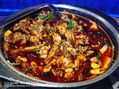 美蛙没鱼头-蛙小侠(珠海华发商都店)
