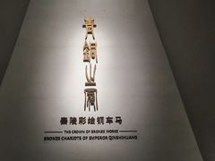 -秦始皇帝陵博物院-丽山园