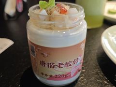 糖猫老酸奶-唐猫庭院·千年陕菜(赛格国际购物中心店)