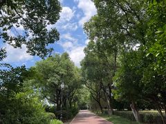 -南昌青山湖风景区
