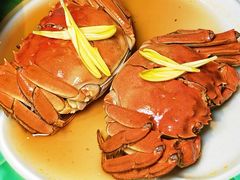 -老吉堂上海本帮菜(工体店)