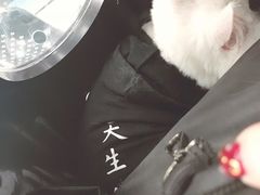 -北京赛佳动物医院