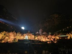 -禅宗少林·音乐大典
