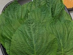 -啊美丽炭火烤肉(滑翔一店)