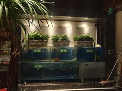 -惠丰堂饭庄·烤鸭·京味菜(西北旺·唐家岭店)