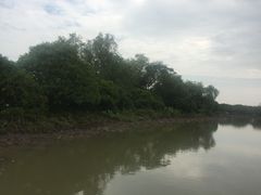 -大湾区中央湿地公园