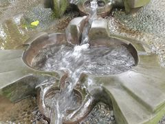 -成都市活水公园