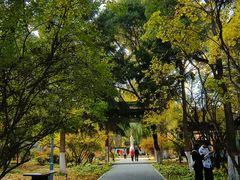 -西宁市人民公园(城西区)