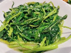 空心菜叶-壹盏灯(惠农店)