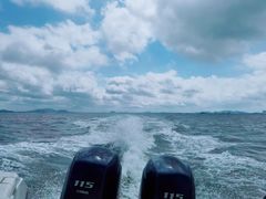 -放鸡岛生态旅游国际度假区