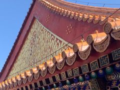 -颐和园