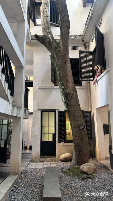 墨池公园图片