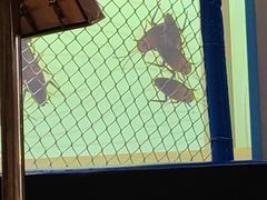 -鑫涛温泉汗蒸时代