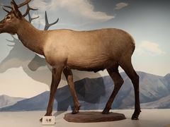 -陕西自然博物馆